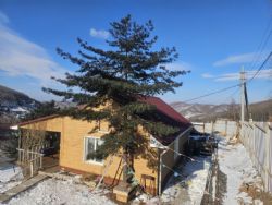 Объект недвижимости